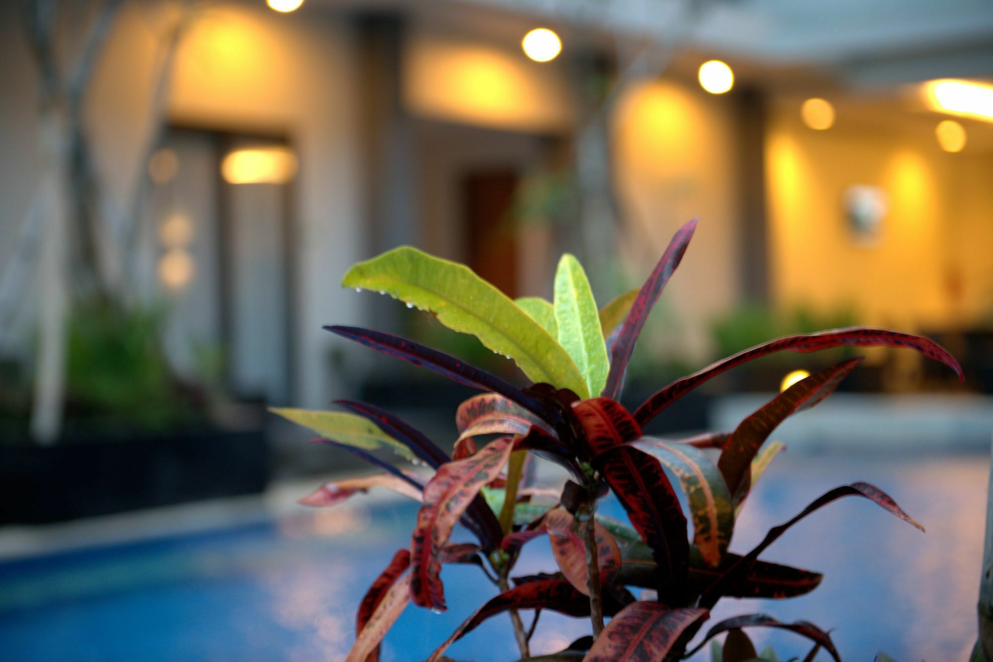 Illira Lite Praya Lombok Hotel Buitenkant foto